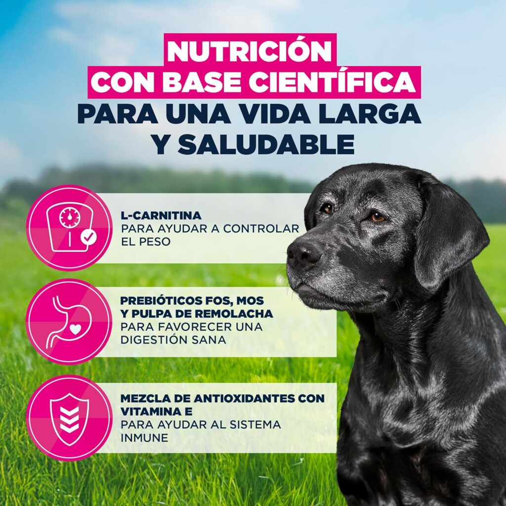 Perro negro sobre césped con cielo azul, junto a tres bloques informativos en rosa que explican beneficios nutricionales: L‑carnitina para control de peso, prebióticos para digestión sana y antioxidantes con vitamina E para apoyar el sistema inmune.