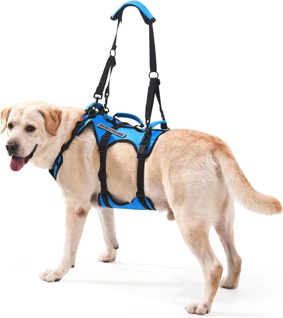 Arnés de soporte para perros con asas acolchadas, ideal para ayudar a perros con movilidad reducida o en rehabilitación.