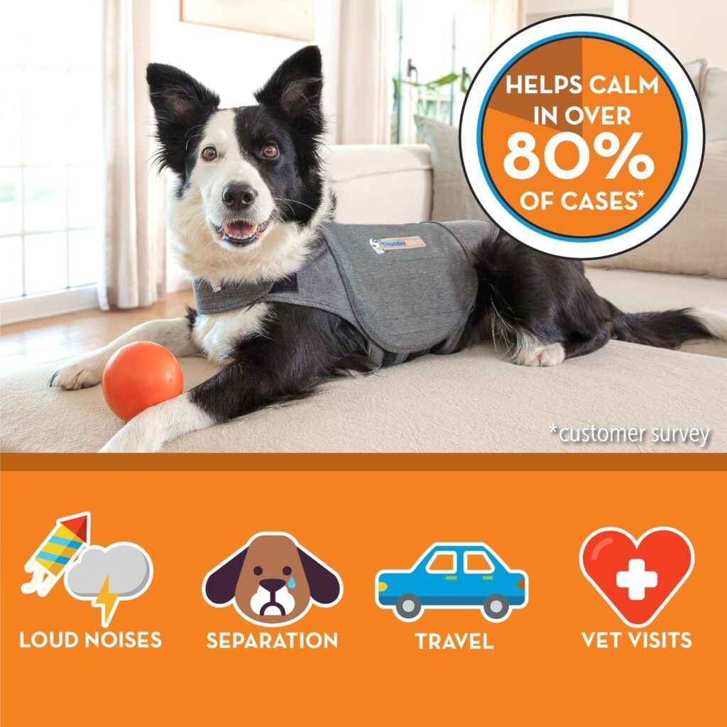 Perro recostado con chaleco calmante ThunderShirt que ayuda a reducir la ansiedad en más del 80% de los casos