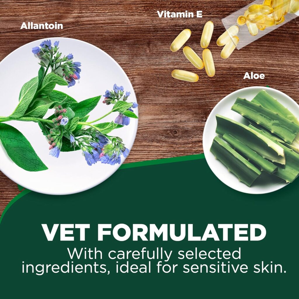 Infografía sobre fondo de madera que muestra los ingredientes naturales del champú Vet's Best. Aparecen tres elementos principales: una planta de consuelda sobre un plato blanco etiquetada como "Allantoin" (Alantoína), cápsulas de gel translúcidas amarillas como "Vitamin E" (Vitamina E) y trozos de hojas de Aloe Vera en un plato pequeño. En la parte inferior, sobre un fondo verde oscuro, el texto dice: "VET FORMULATED. With carefully selected ingredients, ideal for sensitive skin" (Formulado por veterinarios. Con ingredientes cuidadosamente seleccionados, ideal para pieles sensibles).