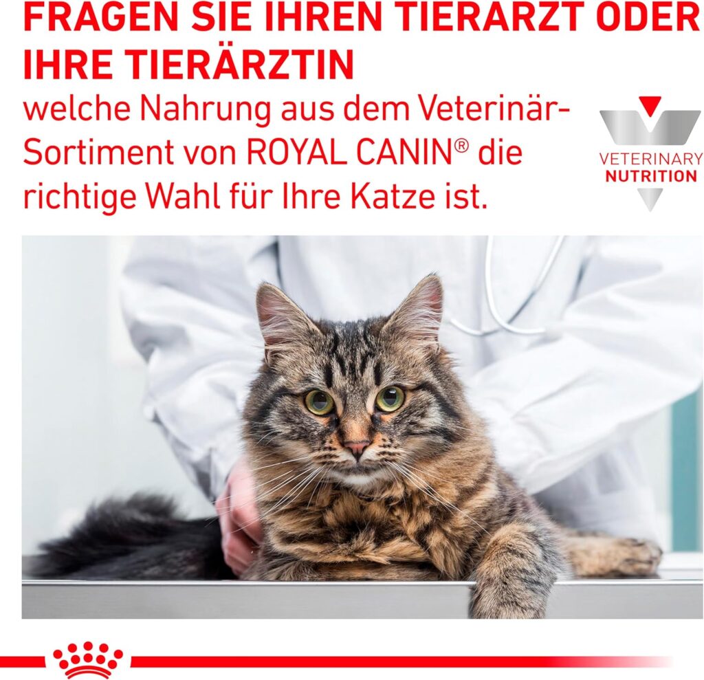 “Veterinario con bata blanca detrás de un gato atigrado de pelo largo recostado sobre una mesa de exploración, acompañado de texto que invita a consultar al profesional para elegir la dieta veterinaria adecuada de Royal Canin