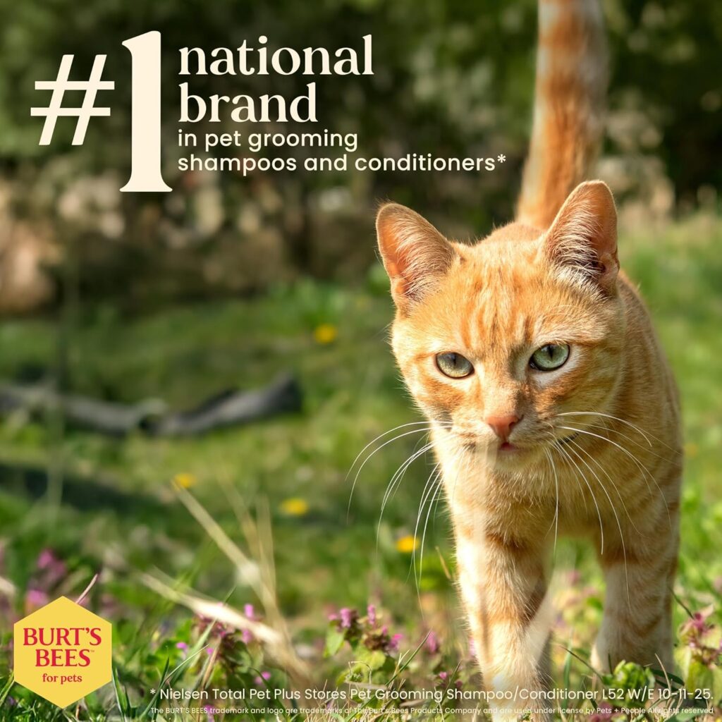 Imagen publicitaria de la marca Burt's Bees for Pets donde un gato atigrado naranja camina sobre hierba verde con flores silvestres bajo la luz del sol. En la esquina superior izquierda, destaca el texto en grande: "#1 national brand in pet grooming shampoos and conditioners" (Marca nacional número 1 en champús y acondicionadores para el cuidado de mascotas), citando datos de Nielsen de finales de 2025. El logotipo de la marca aparece en la esquina inferior izquierda.