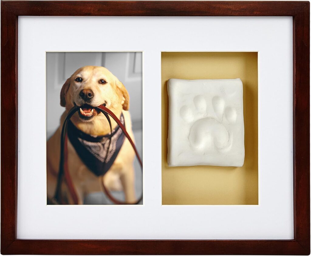 Marco de madera oscura con dos compartimentos: a la izquierda, foto de un labrador amarillo sonriente con collar y pañuelo azul; a la derecha, impresión en arcilla blanca de una huella de pata de perro sobre fondo amarillo claro. Marco rectangular diseñado para colgar en pared.
