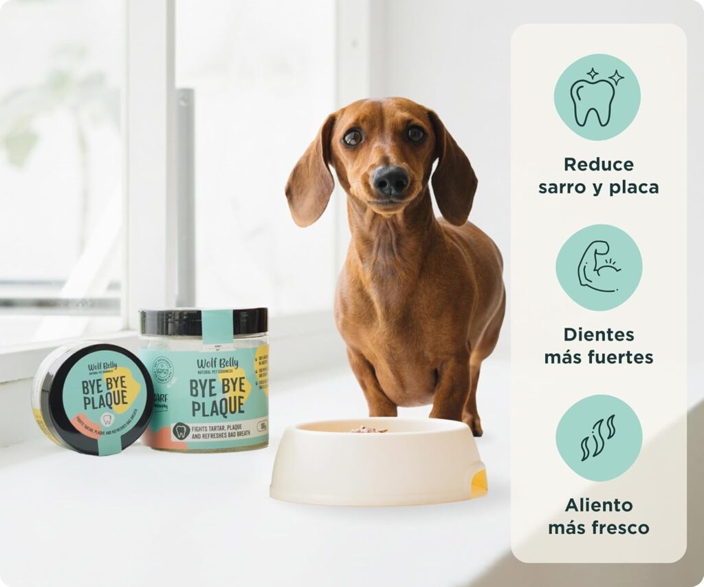 Un perro de raza Teckel (Dachshund) de color marrón junto a su cuenco de comida y dos botes del suplemento dental "Bye Bye Plaque" de Wolf Belly. A la derecha, una infografía con iconos circulares destaca tres beneficios: "Reduce sarro y placa", "Dientes más fuertes" y "Aliento más fresco". La escena tiene un fondo luminoso y limpio cerca de una ventana.