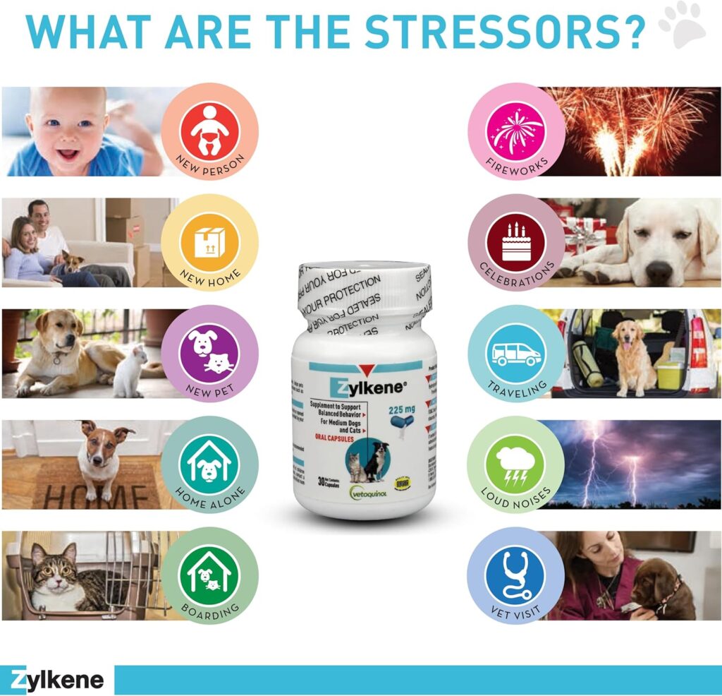 Suplemento Zylkene para perros y gatos, formulado para apoyar un comportamiento equilibrado ante situaciones de estrés.