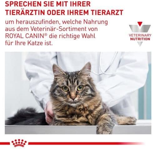 Veterinaria con bata blanca examinando a un gato atigrado de pelo largo sobre una mesa metálica, junto al texto promocional de Royal Canin Veterinary Nutrition que invita a consultar al profesional para elegir la alimentación adecuada.