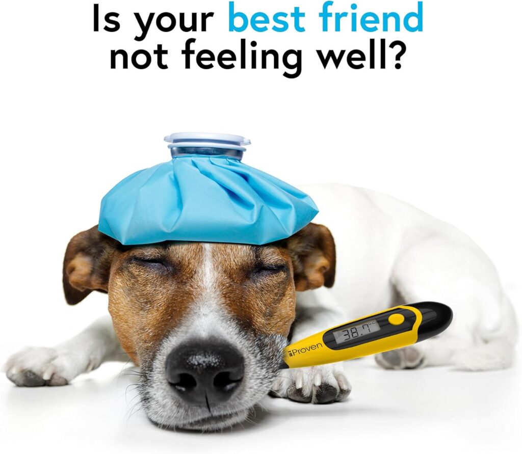 Perro pequeño recostado con los ojos cerrados, sosteniendo un termómetro digital que marca 38.7 °C y con una compresa fría azul sobre la cabeza. Imagen que transmite síntomas de malestar en una mascota.