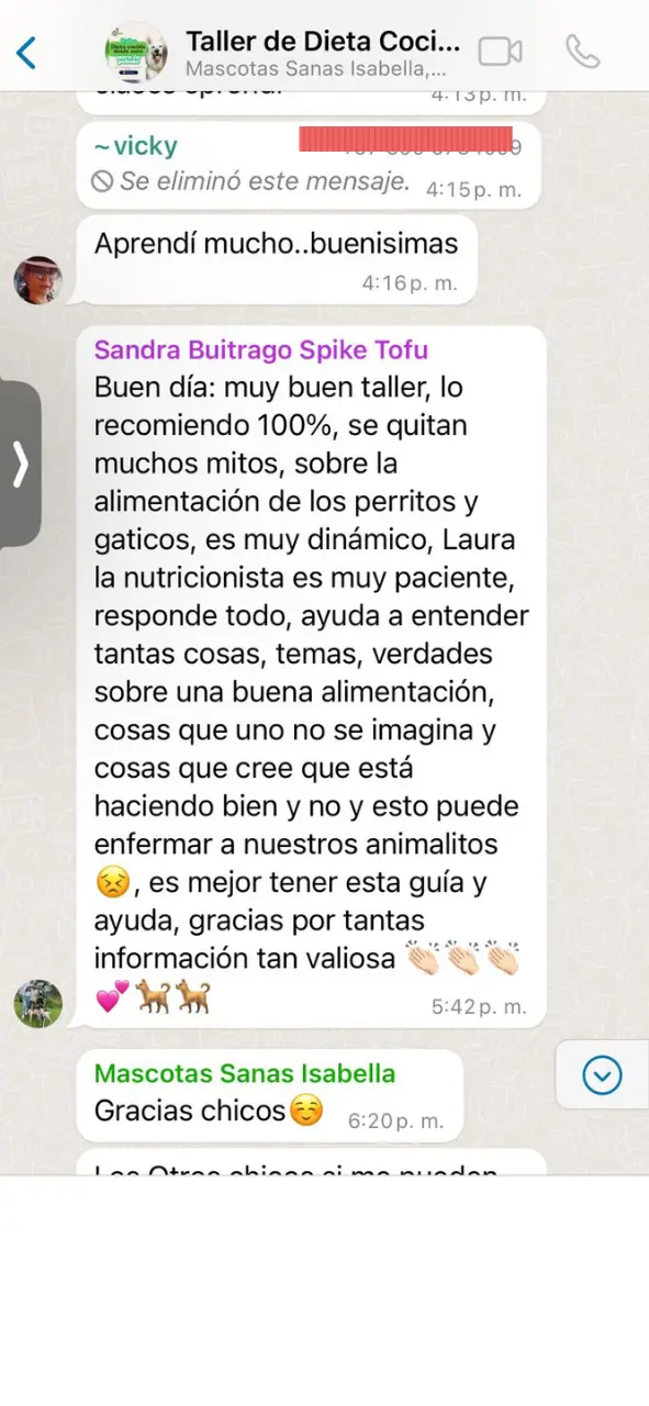Captura de WhatsApp de una alumna recomendando el curso al 100 % y comentando que le ayudó mucho.