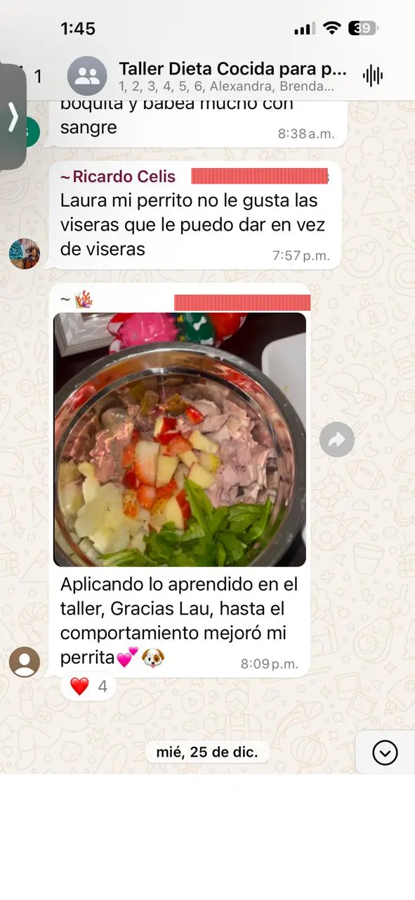 Captura de WhatsApp de una usuaria preguntando por alternativas a las vísceras para preparar un plato de alimentación natural para su perrita.