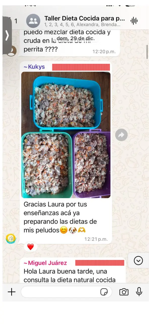 Captura de WhatsApp de una usuaria agradeciendo a Laura por el curso, junto a una imagen de tres recipientes con diferentes preparaciones de comida casera para perros. La usuaria comenta que su perro no acepta la comida cruda y pregunta sobre mezclarla.