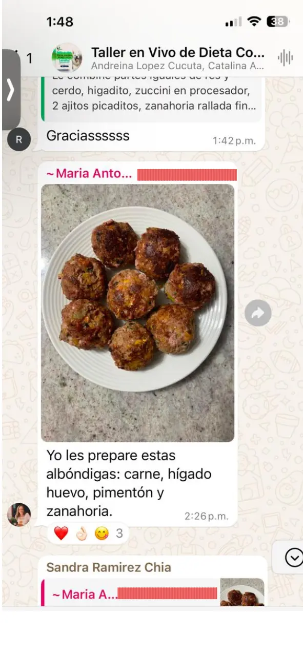 Plato con albóndigas caseras de aspecto saludable y apetitoso, preparadas como comida natural para perros.