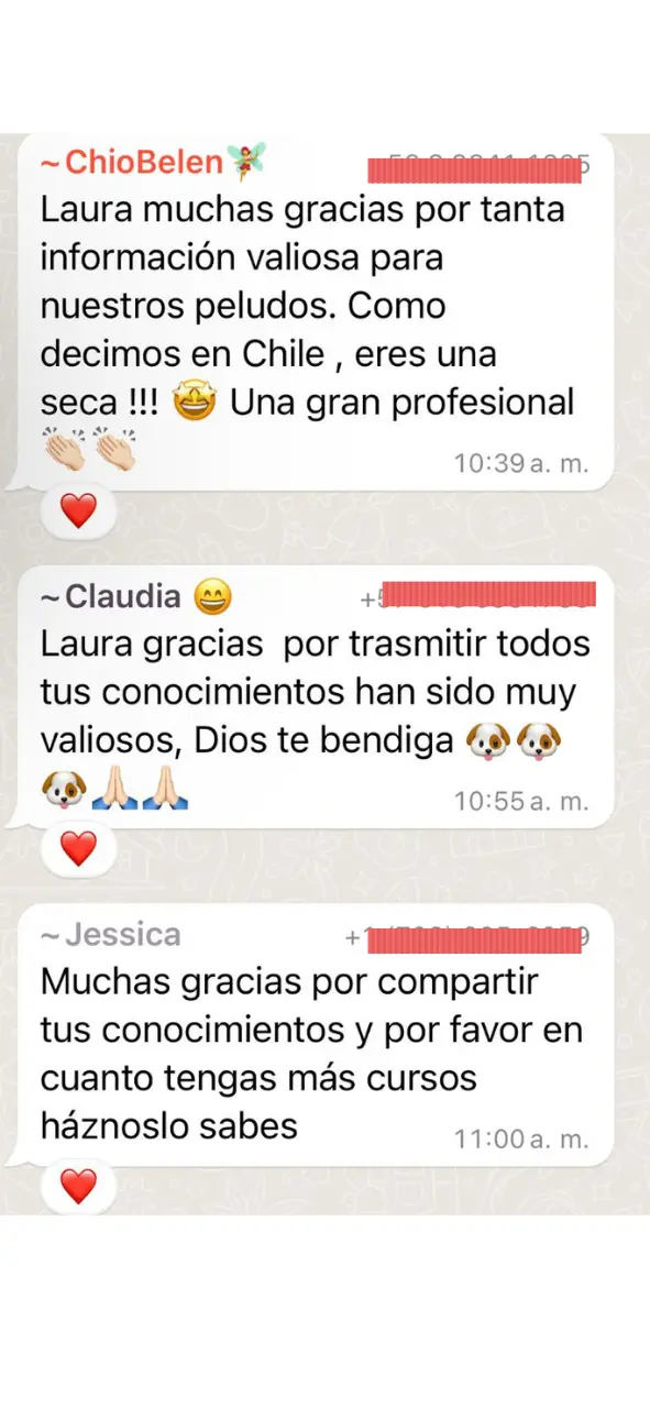 Captura de WhatsApp de una usuaria agradeciendo nuevamente a Laura por compartir sus conocimientos y ayudarla con la alimentación de su perro.